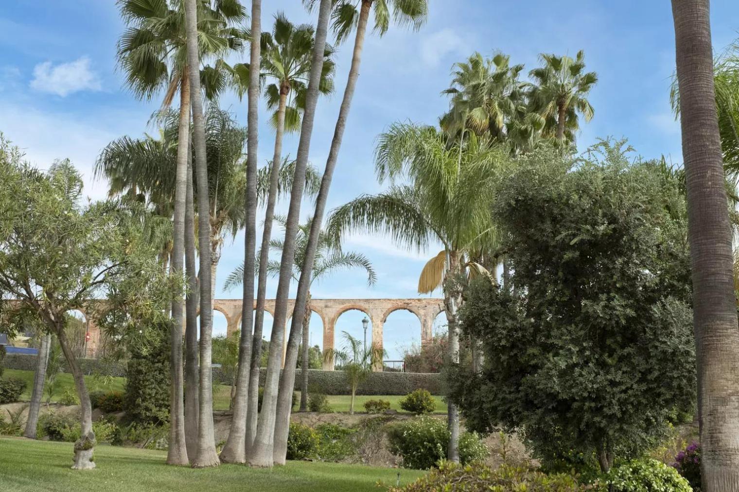 Appartement Palmas 21c Oasis