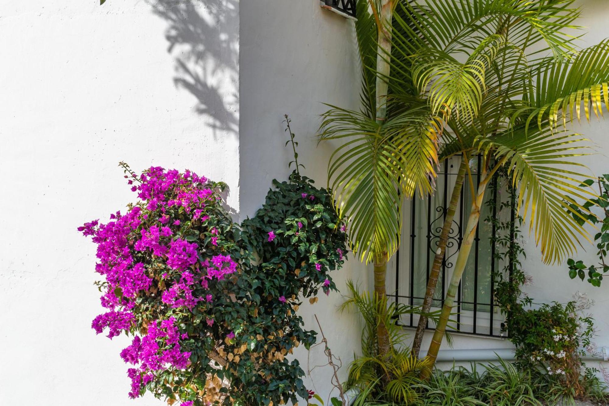Appartement Palmas 21c Oasis Nerja
