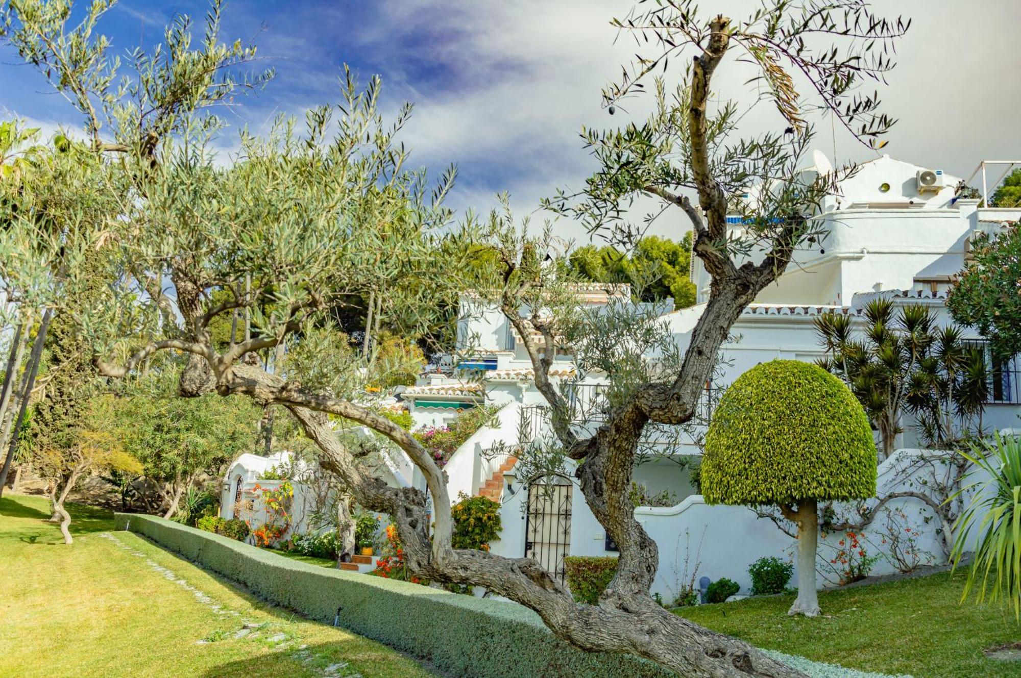 Appartement Palmas 21c Oasis *